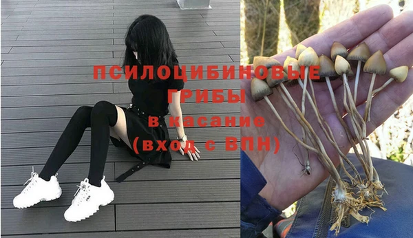 a pvp Медногорск