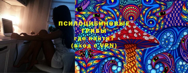 ПСИЛОЦИБИНОВЫЕ ГРИБЫ Михайловск