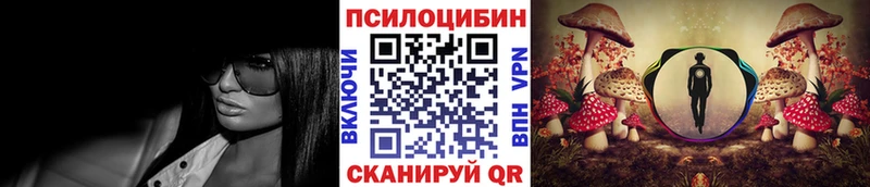 Псилоцибиновые грибы GOLDEN TEACHER  Купить закладки  Ахтубинск 